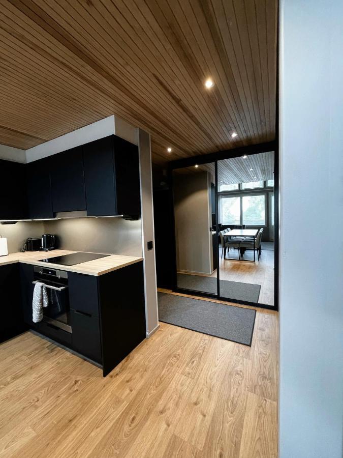 Levin Kunkku B penthouse Aparthotel Exterior foto